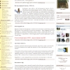 Дизайн главной страницы сайта приюта для бездомных животных ПИФ.